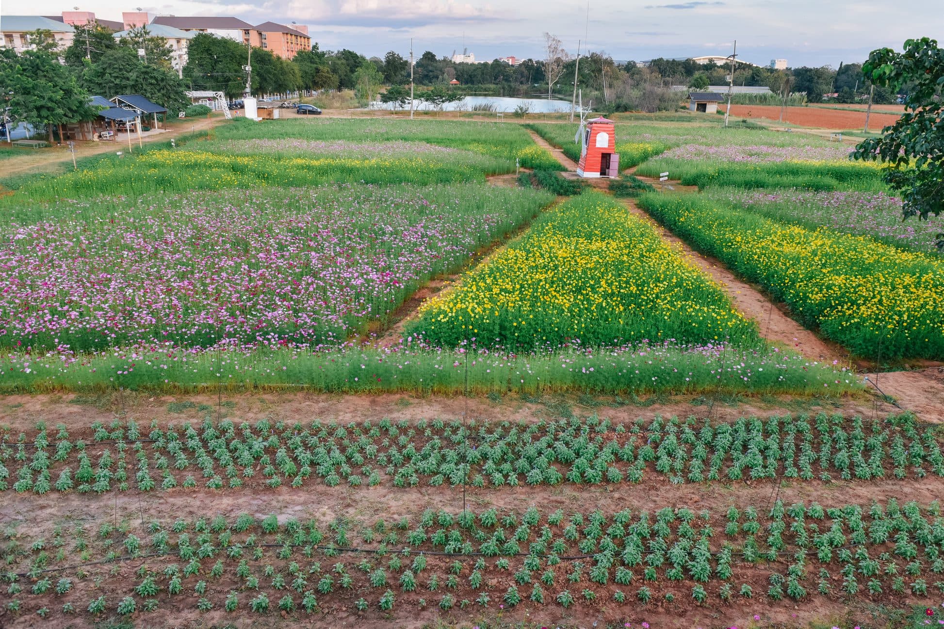 UI GreenMetric hero slide